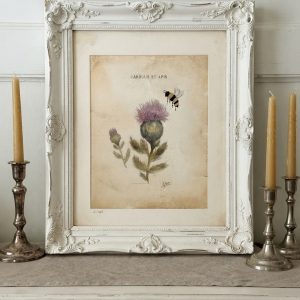 Thistle Art Print - 8x10 - Image 1